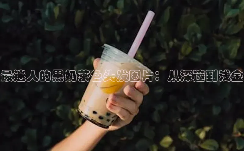 NG相信品牌的力量官网百度大脑